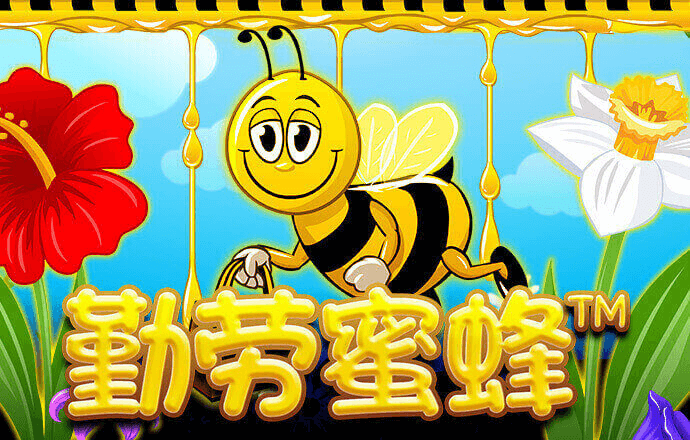 午夜疯狂飙车